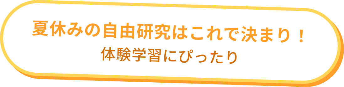 夏休みの自由研究はこれで決まり！体験学習にぴったり