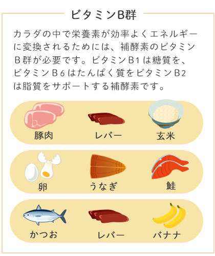 筋肉の材料となるたんぱく質を摂取する