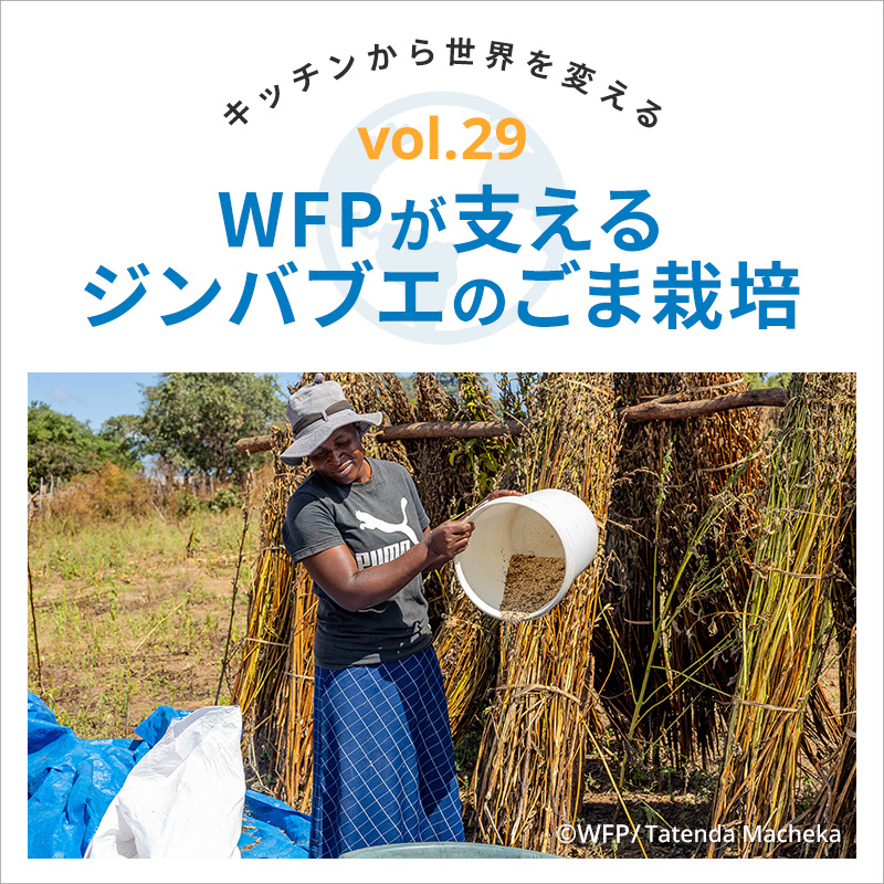 キッチンから世界を変える／WFPが支えるジンバブエのごま栽培　vol.29